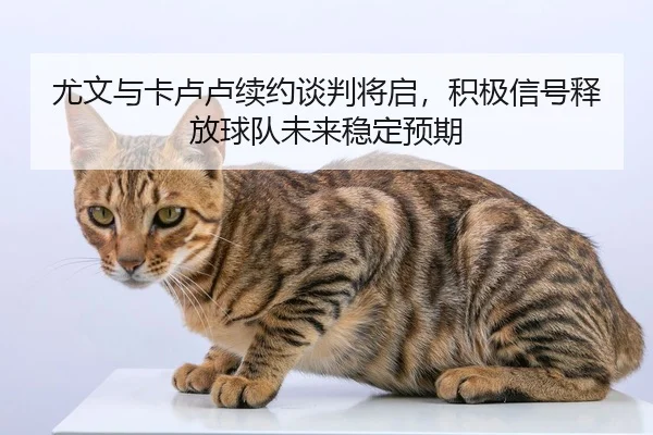 尤文与卡卢卢续约谈判将启,积极信号释放球队未来稳定预期